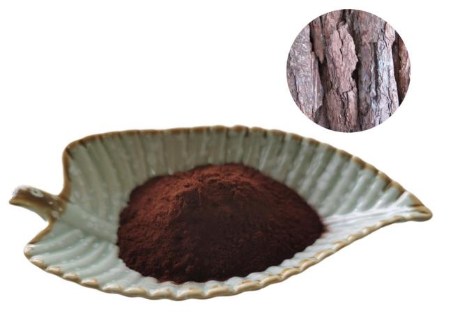 Pine Bark Extract 95% OPCS Proanthocyanidins UV 