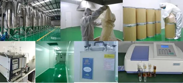 Rhodiola rosea root extract (2)