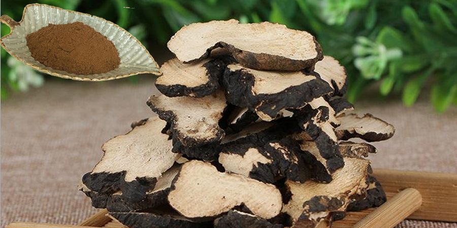 Polyporus Extract Powder