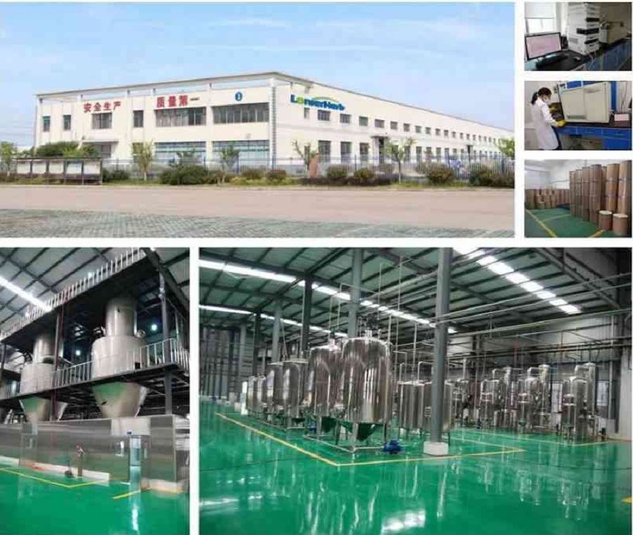 Cordyceps sinensis extract Factory