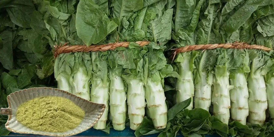 Wholesale Lettuce Powder