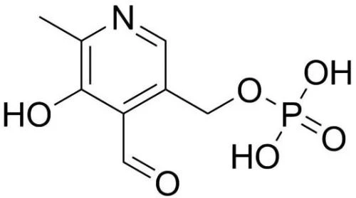 Pyridoxal Phosphate Vitamin b6