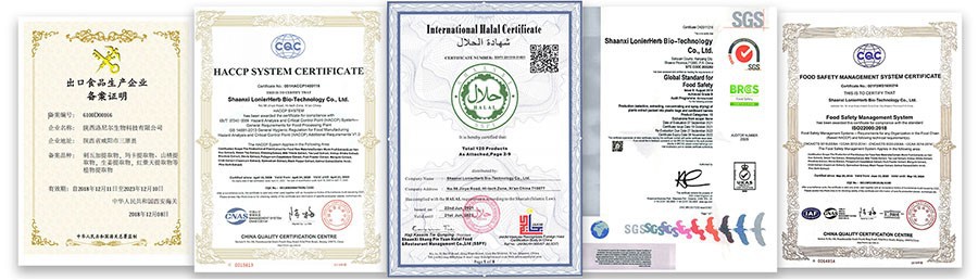 Certificate-2 Certificate-2