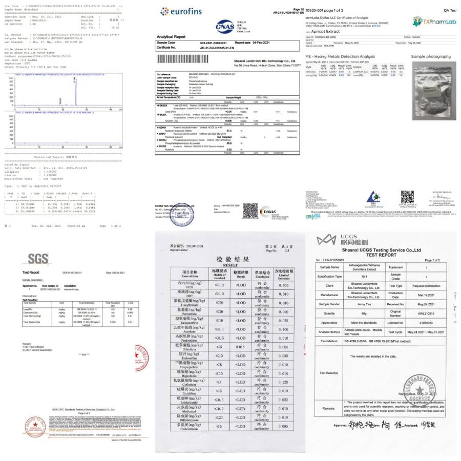 Test Report by Third Part 1