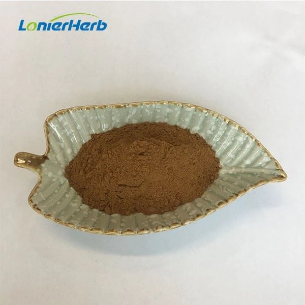 Hericium Erinaceus Mushroom Extract