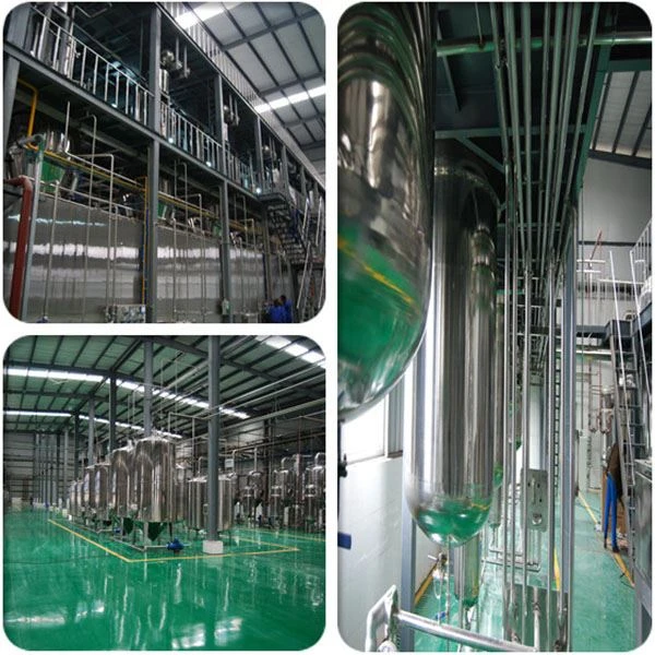 Oyster Peptide
