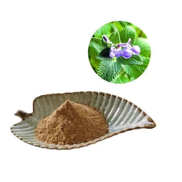 Catnip extract Catnip extract
