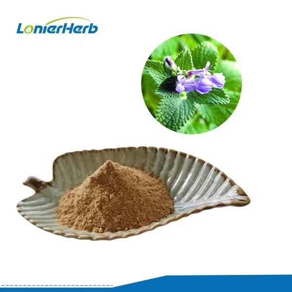 Catnip extract Catnip extract